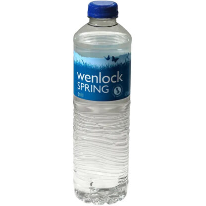 Wenlock Spring Still Water PET 500ml