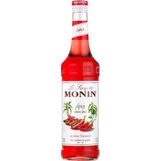 Monin Spicy